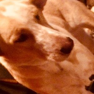 Meet your Posher, Ahna